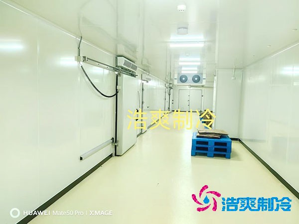 三甲醫(yī)院建設體外診斷試劑醫(yī)藥冷庫造價成本多少錢？