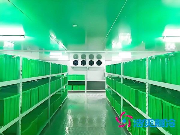  三級醫(yī)院建設(shè)醫(yī)用耗材冷庫面積標準