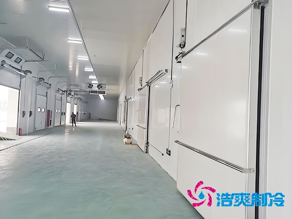  800立方醫(yī)藥冷庫造價大概多少錢？
