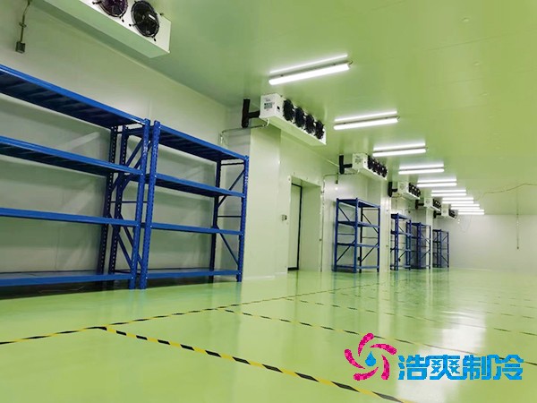 存儲微生物細(xì)菌的醫(yī)藥冷庫造價成本多少錢？