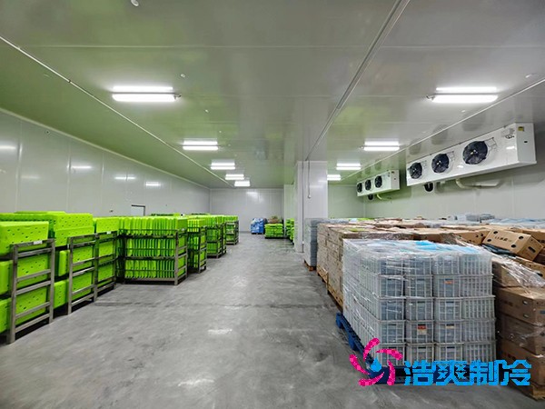醫(yī)藥冷庫建設(shè)方案及造價概覽